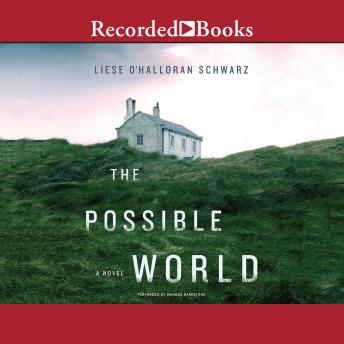 Possible World, Liese O'halloran Schwarz