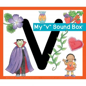 My 'v' Sound Box®
