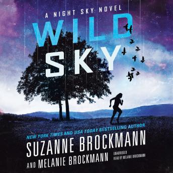 Wild Sky, Melanie Brockmann, Suzanne Brockmann