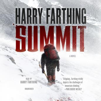 Summit: A Novel