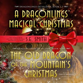 Old Dragon of the Mountain’s Christmas, Audio book by S.E. Smith