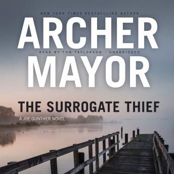 The Surrogate Thief