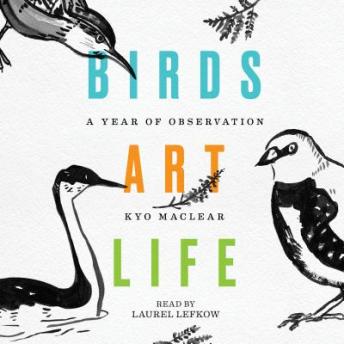 Birds Art Life: A Year of Observation, Kyo Maclear