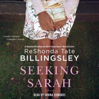 Seeking Sarah: A Novel