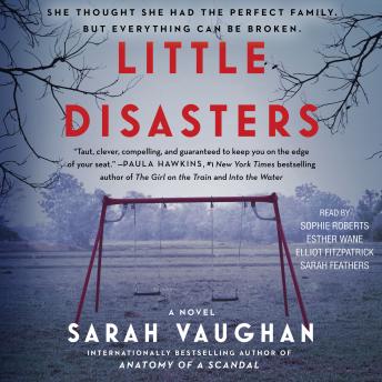 Little Disasters: A Novel sample.