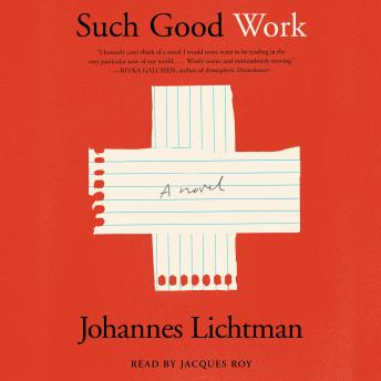 Such Good Work: A Novel
