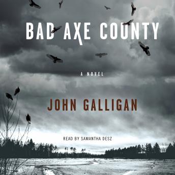 Bad Axe County: A Novel