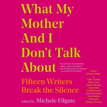 What My Mother and I Don't Talk About: Fifteen Writers Break the Silence sample.