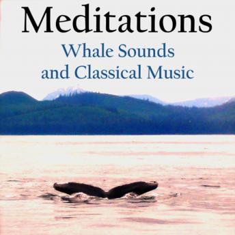 Meditations – Whale Sounds and Classical Music