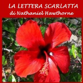 [Italian] - Lettera scarlatta, La