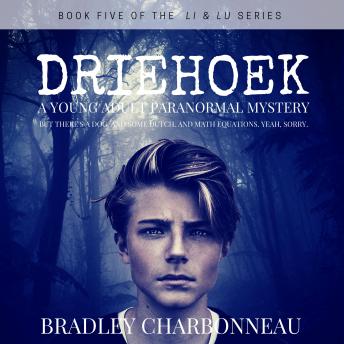 Driehoek: A Young Adult Paranormal Mystery