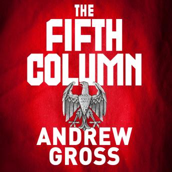 Fifth Column, Audio book by Andrew Gross