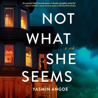 Not What She Seems: A Novel