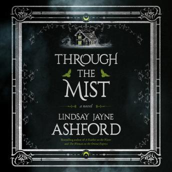 Through the Mist: A Novel