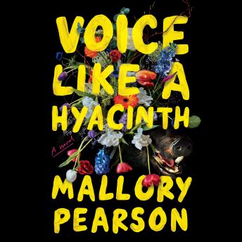 Voice Like a Hyacinth: A Novel