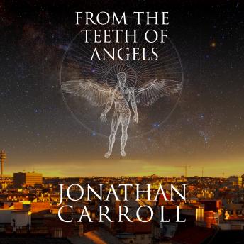 From the Teeth of Angels