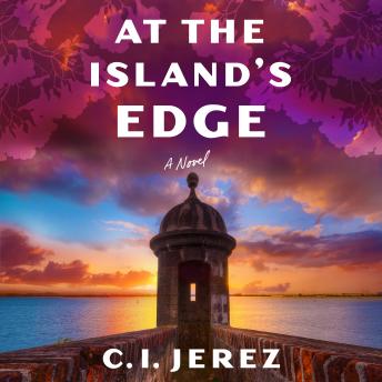 At the Island's Edge: A Novel