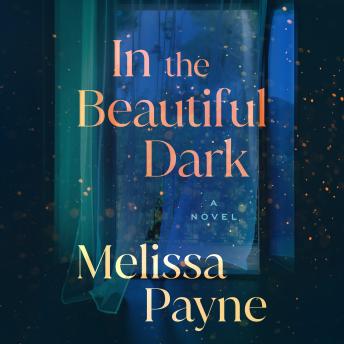 In the Beautiful Dark: A Novel