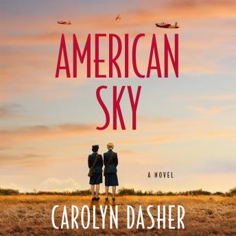 American Sky: A Novel