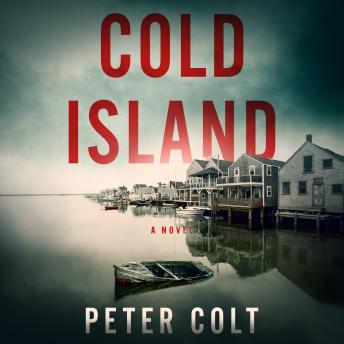 Cold Island: A Novel