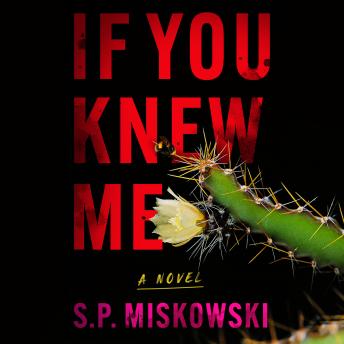If You Knew Me: A Novel