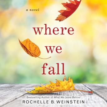 Where We Fall: A Novel