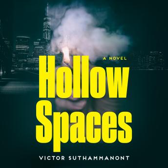 Hollow Spaces: A Novel