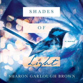 Shades of Light: A Novel