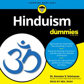 Download Hinduism For Dummies by Dr. Amrutur V. Srinivasan