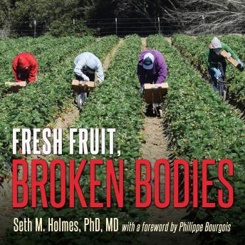 Fresh Fruit, Broken Bodies: Migrant Farmworkers in the United States, Audio book by Seth Holmes