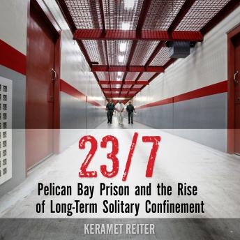 23/7: Pelican Bay Prison and the Rise of Long-Term Solitary Confinement sample.