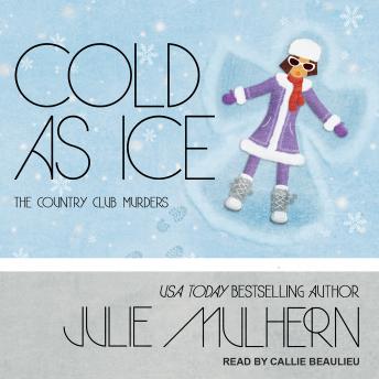 Download Cold as Ice by Julie Mulhern