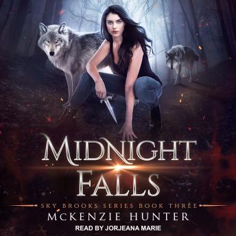Download Midnight Falls by McKenzie Hunter