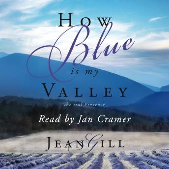 Download How Blue is My Valley by Jean Gill