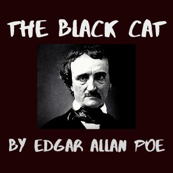 Black Cat, Audio book by Edgar Allan Poe