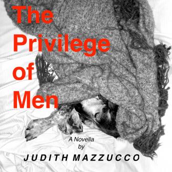 Privilege of Men, Audio book by Judith Mazzucco