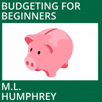 The Budgeting for Beginners