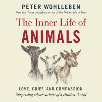 Inner Life of Animals: Love, Grief, and Compassion -- Surprising Observations of a Hidden World, Peter Wohlleben