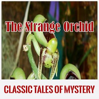 Download The Strange Orchid by Classic Tales of Mystery