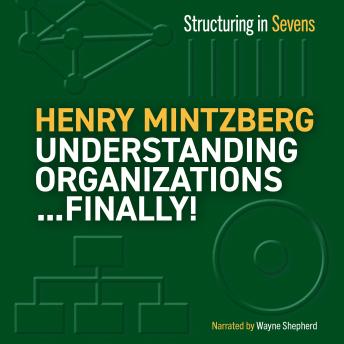 Understanding Organizations...Finally!: Structuring in Sevens sample.