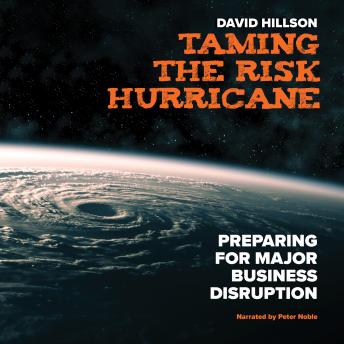 Download Taming the Risk Hurricane: Preparing for Major Business Disruption by David Hillson