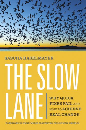 The Slow Lane: Why Quick Fixes Fail and How to Achieve Real Change