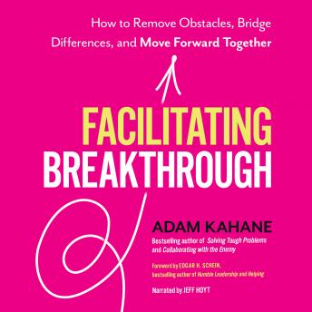 Facilitating Breakthrough: How to Remove Obstacles, Bridge Differences, and Move Forward Together sample.
