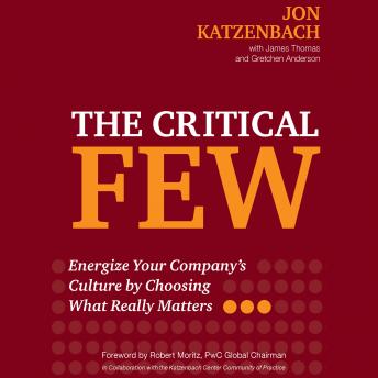 The Critical Few: Energize Your Company’s Culture by Choosing What Really Matters