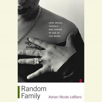 Random Family: Love, Drugs, Trouble, and Coming of Age in the Bronx sample.