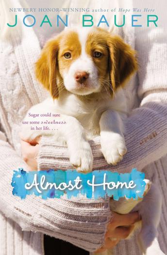 Read Almost Home