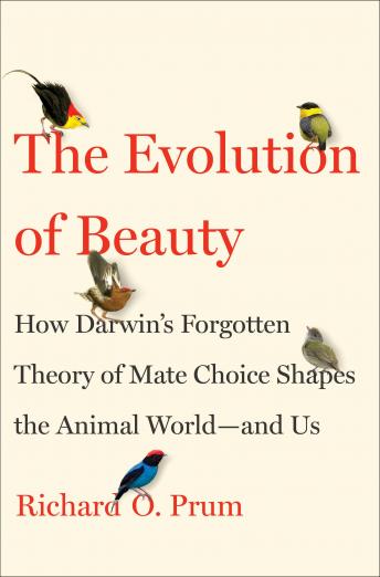 The Evolution of Beauty: How Darwin's Forgotten Theory of Mate Choice Shapes the Animal World - and Us