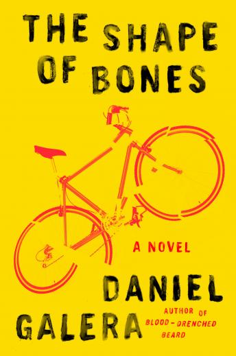 The Shape of Bones: A Novel