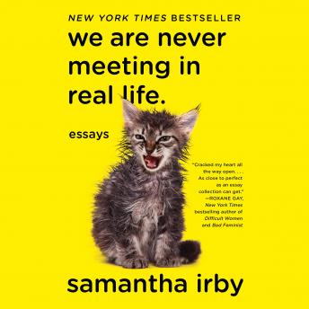 Download We Are Never Meeting in Real Life: Essays by Samantha Irby