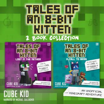 Tales of an 8 Bit Kitten Collection: Books 1 and 2